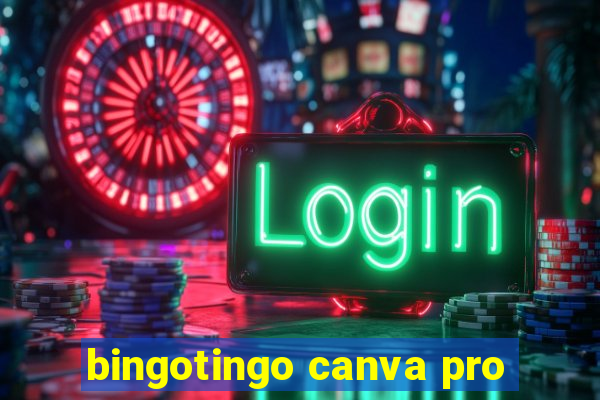 bingotingo canva pro